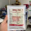 amox_coli_5000_1 AMOX-COLI (5000)