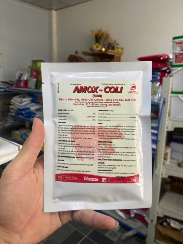 amox_coli_5000_1 AMOX-COLI (5000)