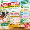 canxi_khoang_new_0 CANXI – KHOÁNG NEW