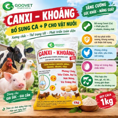 canxi_khoang_new_0 CANXI – KHOÁNG NEW