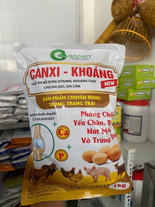 canxi_khoang_new_1 CANXI – KHOÁNG NEW