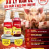 cap_doi_sirocoli_va_coxheo_0 CẶP ĐÔI SIROCOLI & COXHEO