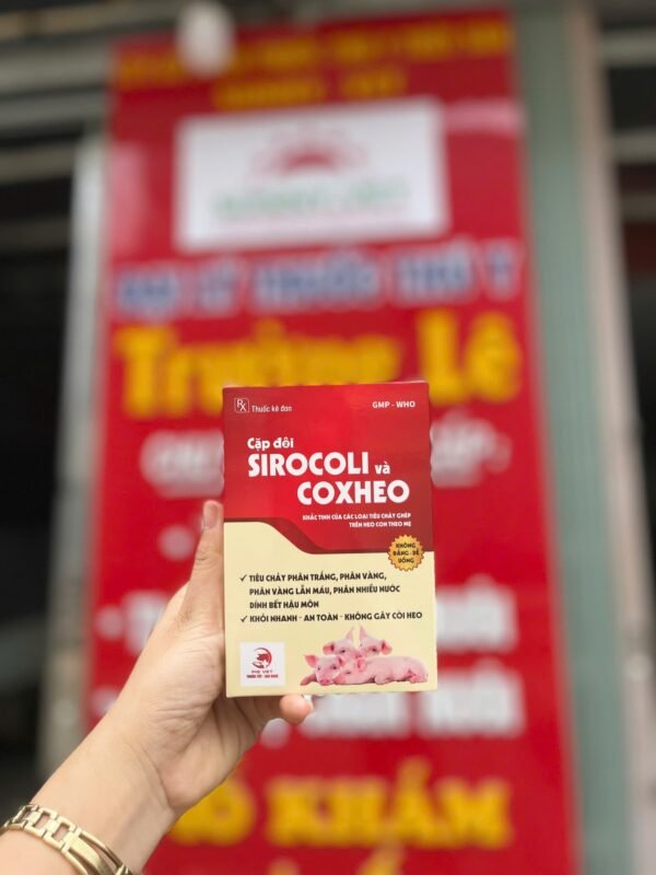 cap_doi_sirocoli_va_coxheo_1 CẶP ĐÔI SIROCOLI & COXHEO