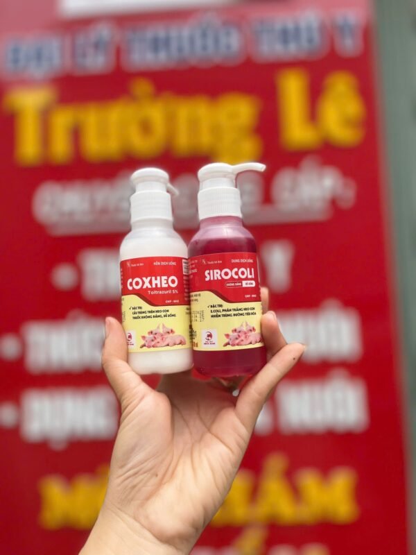 cap_doi_sirocoli_va_coxheo_2 CẶP ĐÔI SIROCOLI & COXHEO