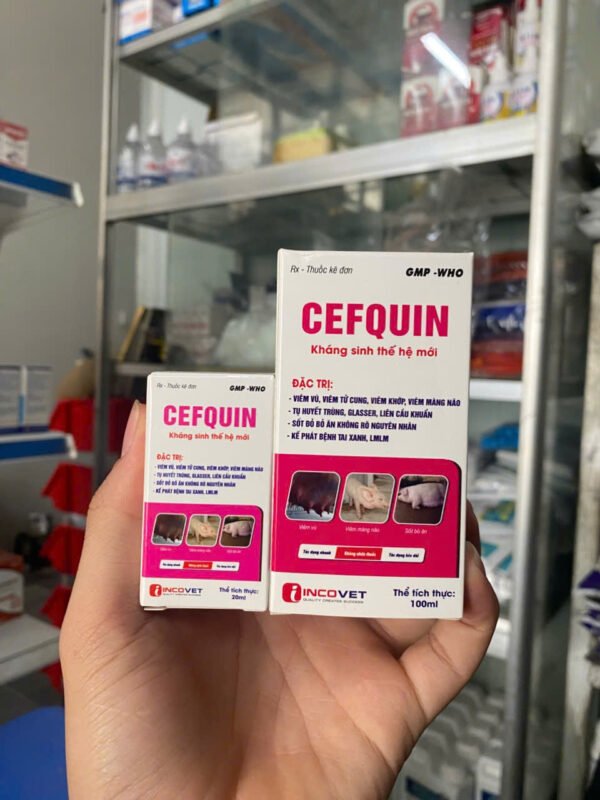 cefquin_khang_sinh_the_he_moi_hon_dich_tiem_20ml-100ml_0 CEFQUIN – Kháng sinh thế hệ mới