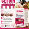 cefquin_khang_sinh_the_he_moi_hon_dich_tiem_20ml-100ml_1 CEFQUIN – Kháng sinh thế hệ mới