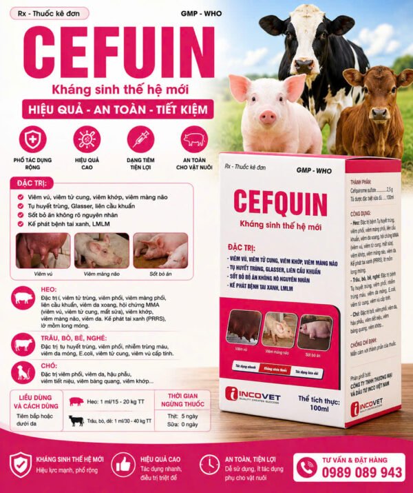 cefquin_khang_sinh_the_he_moi_hon_dich_tiem_20ml-100ml_1 CEFQUIN – Kháng sinh thế hệ mới