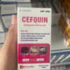 cefquin_khang_sinh_the_he_moi_hon_dich_tiem_20ml-100ml_2 CEFQUIN – Kháng sinh thế hệ mới