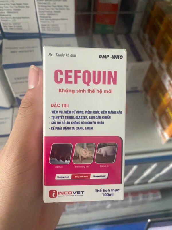 cefquin_khang_sinh_the_he_moi_hon_dich_tiem_20ml-100ml_2 CEFQUIN – Kháng sinh thế hệ mới