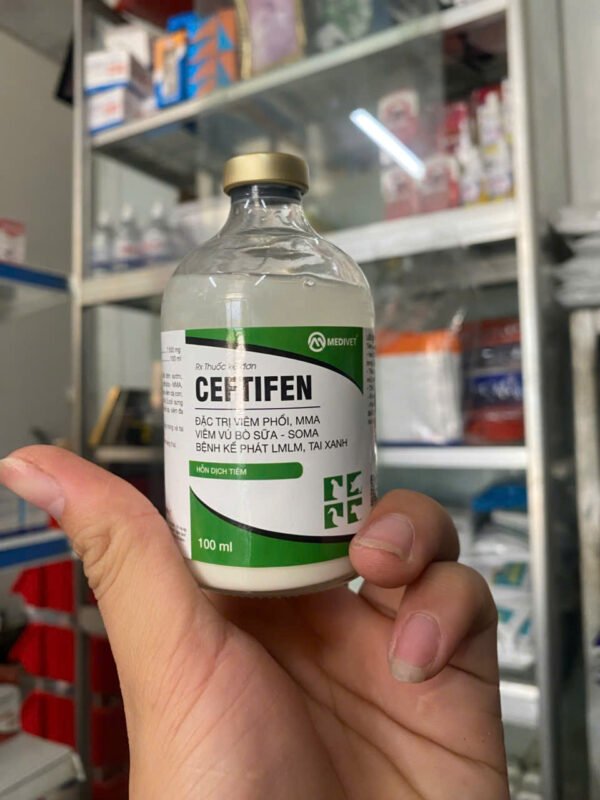ceftifen_0 CEFTIFEN – Chống viêm cho heo nái