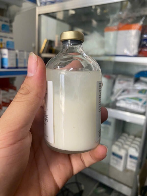 ceftifen_2 CEFTIFEN – Chống viêm cho heo nái