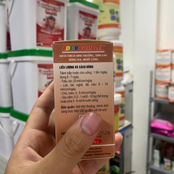 dr_cafein_gluco_amin_no2_3 DR.CAFEIN GLUCO AMIN NO.02