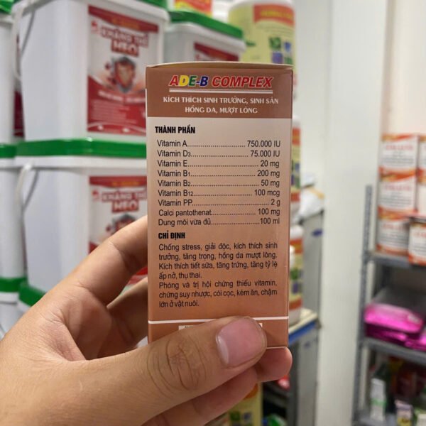dr_cafein_gluco_amin_no2_4 DR.CAFEIN GLUCO AMIN NO.02