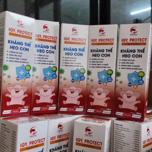 igy_protect_khang_the_heo_con_0 IGY.PROTECT – Kháng thể heo con