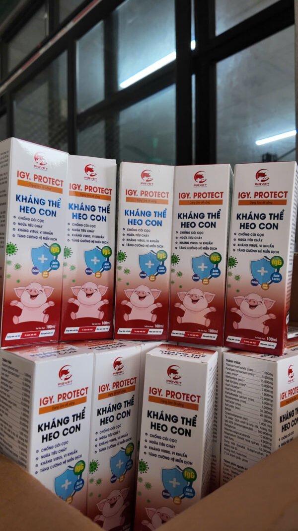 igy_protect_khang_the_heo_con_0 IGY.PROTECT – Kháng thể heo con
