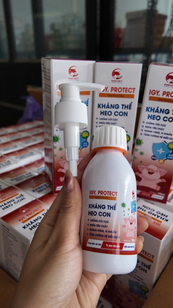 igy_protect_khang_the_heo_con_13 IGY.PROTECT – Kháng thể heo con