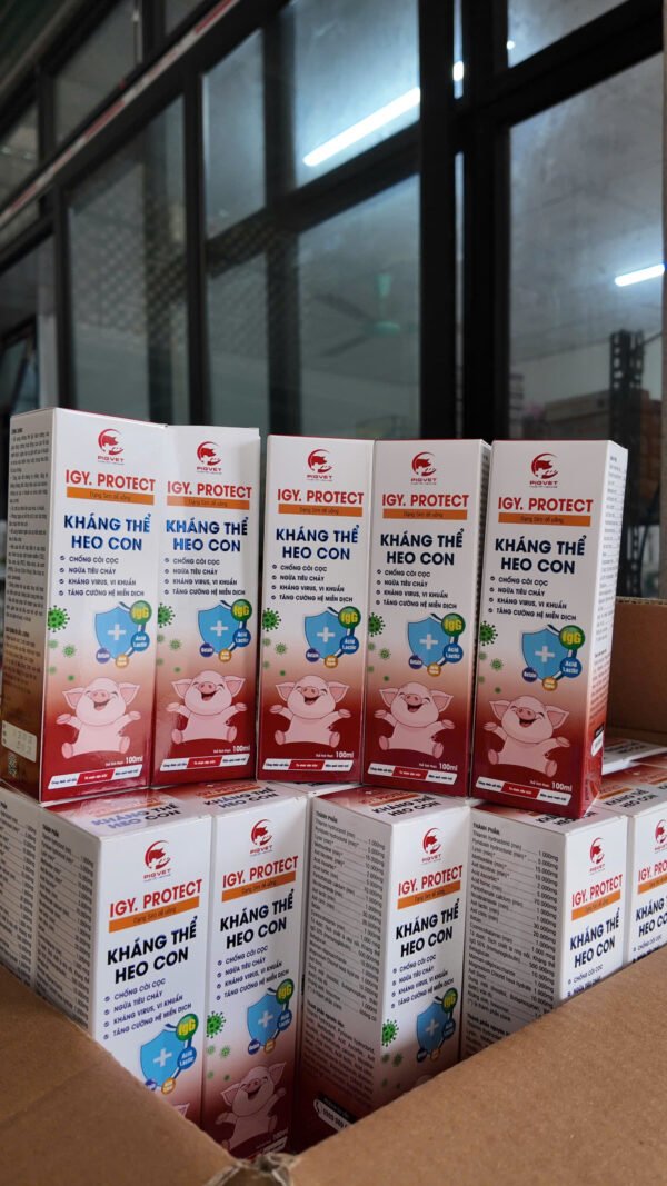 igy_protect_khang_the_heo_con_17 IGY.PROTECT – Kháng thể heo con