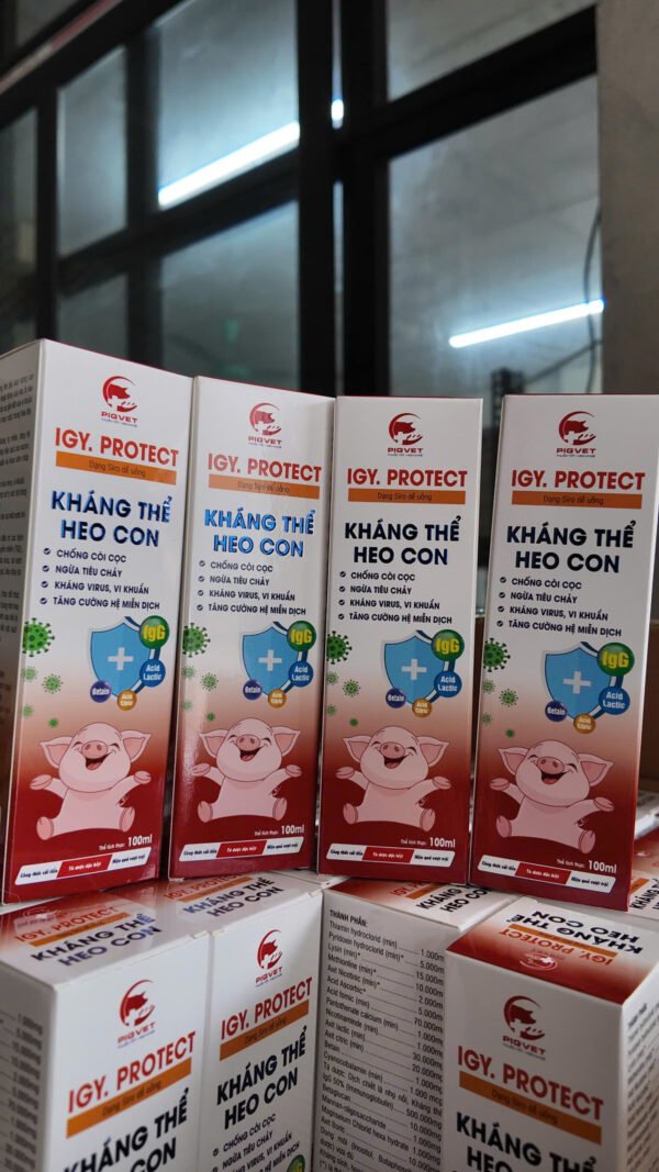 igy_protect_khang_the_heo_con_18 IGY.PROTECT – Kháng thể heo con