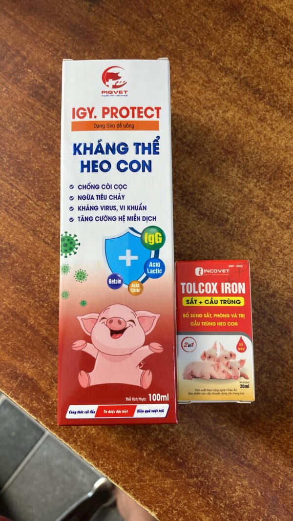 igy_protect_khang_the_heo_con_4 IGY.PROTECT – Kháng thể heo con