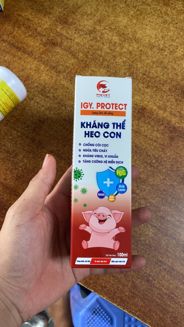 igy_protect_khang_the_heo_con_5 IGY.PROTECT – Kháng thể heo con
