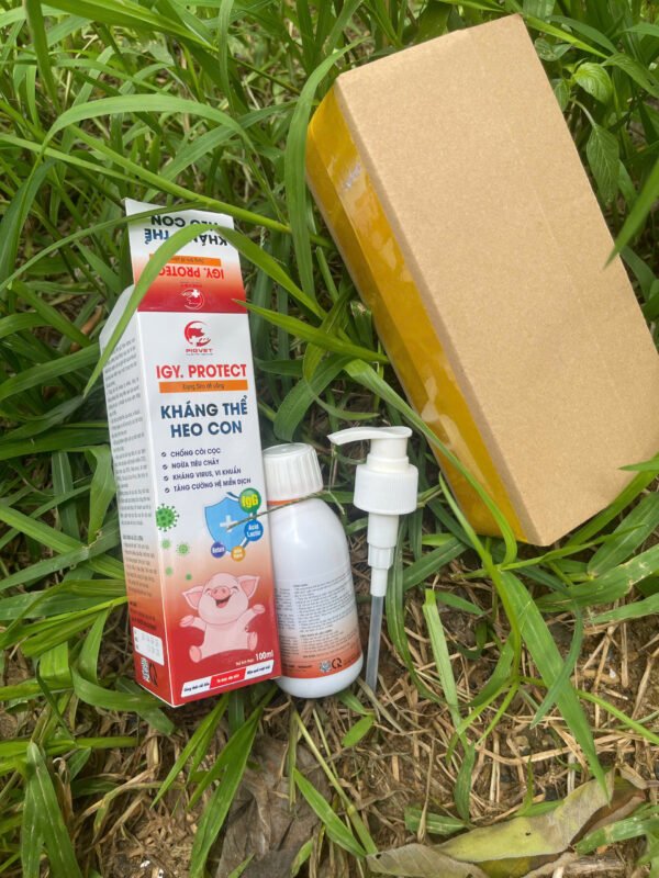 igy_protect_khang_the_heo_con_9 IGY.PROTECT – Kháng thể heo con