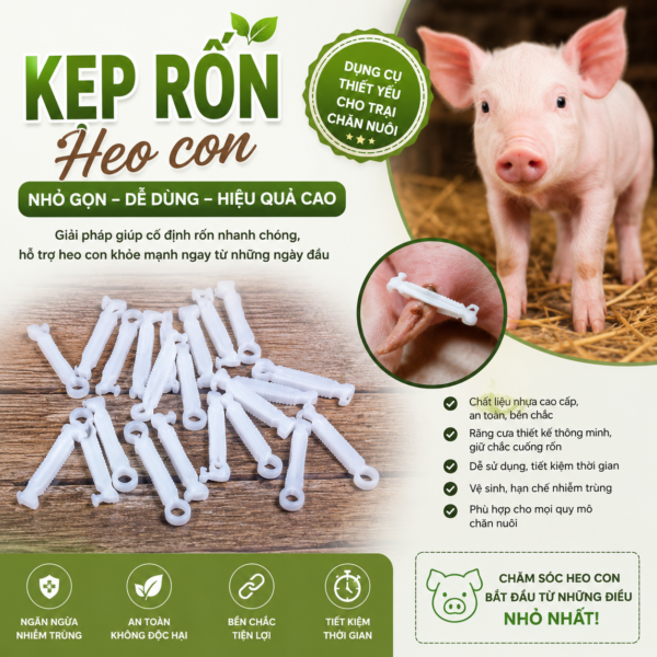 kep_ron_heo_con_0 KẸP RỐN HEO CON
