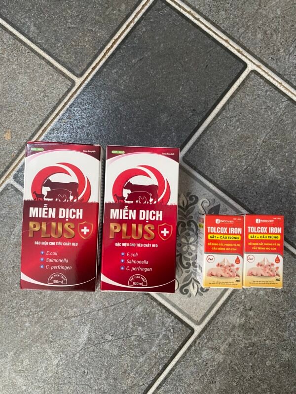 mien_dich_plus_+_4 MIỄN DỊCH PLUS+