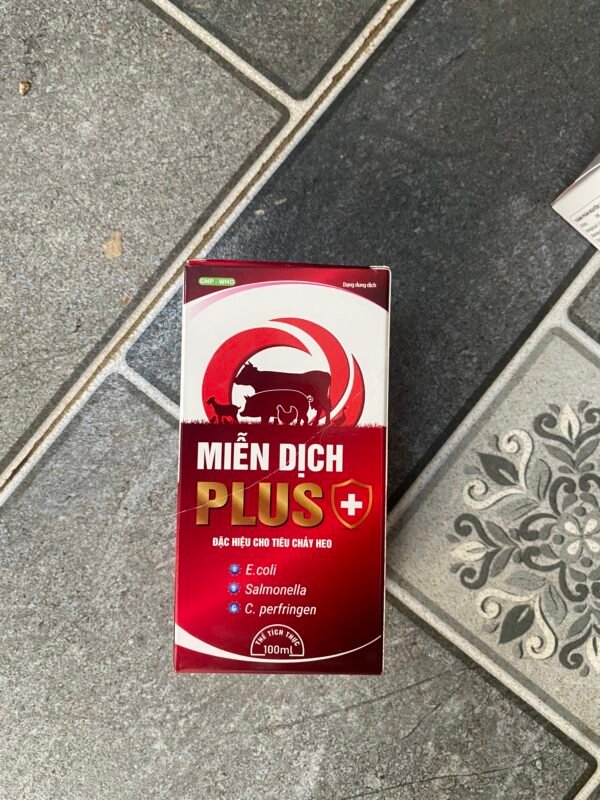 mien_dich_plus_+_6 MIỄN DỊCH PLUS+