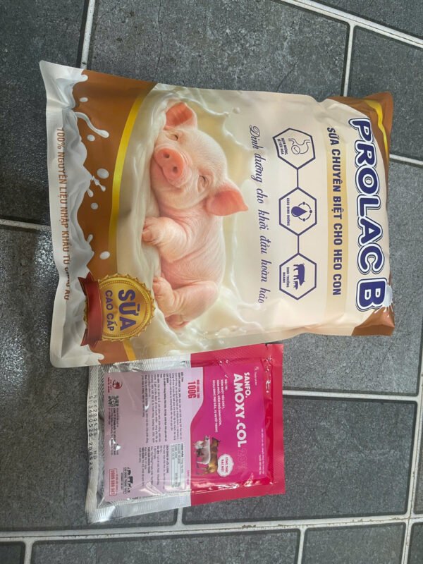 prolac_b_sua_chuyen_biet_cho_heo_con_0 PROLAC B – Sữa chuyên biệt cho heo con