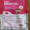 sanfo_amoxy_col_20%_0 SANFO. AMOXY-COL 20%