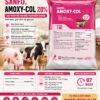 sanfo_amoxy_col_20%_1 SANFO. AMOXY-COL 20%