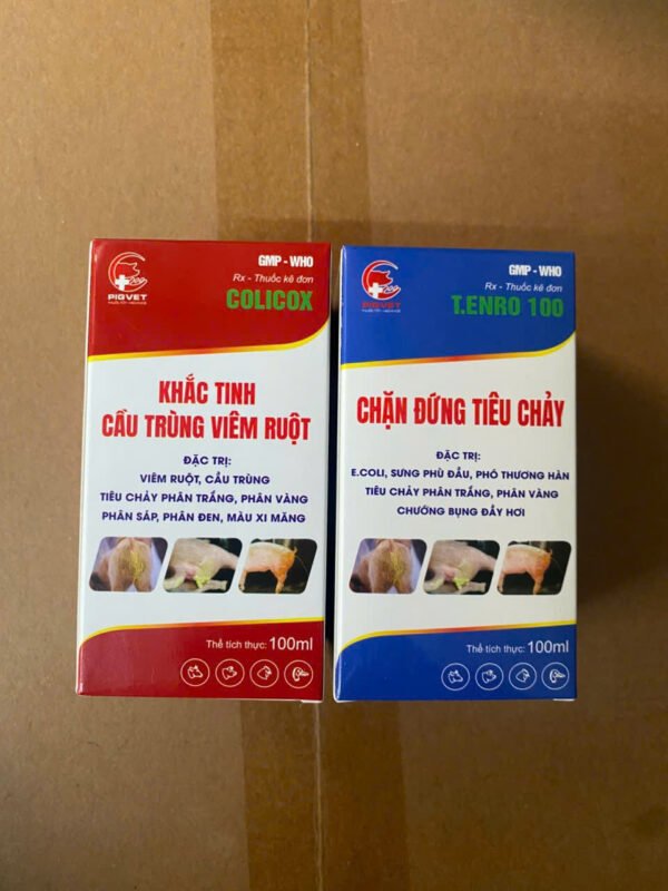 tenro_100_chan_dung_tieu_chay_0 T.ENRO 100 – Chặn đứng tiêu chảy