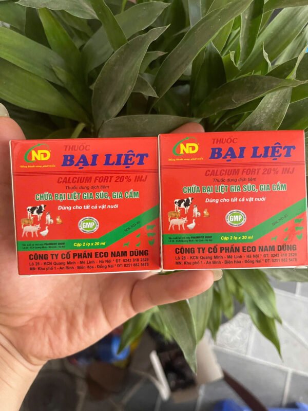 THUỐC BẠI LIỆT – CALCIUM FORT 20% INJ