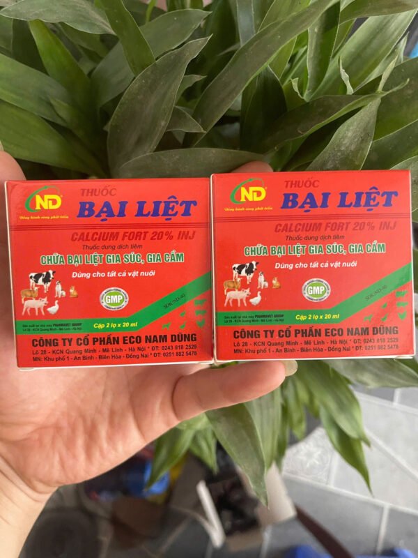 THUỐC BẠI LIỆT – CALCIUM FORT 20% INJ