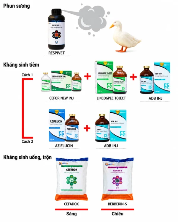 ADB MEDIVET – Long đờm, hạ sốt, tiêu viêm – ảnh 2