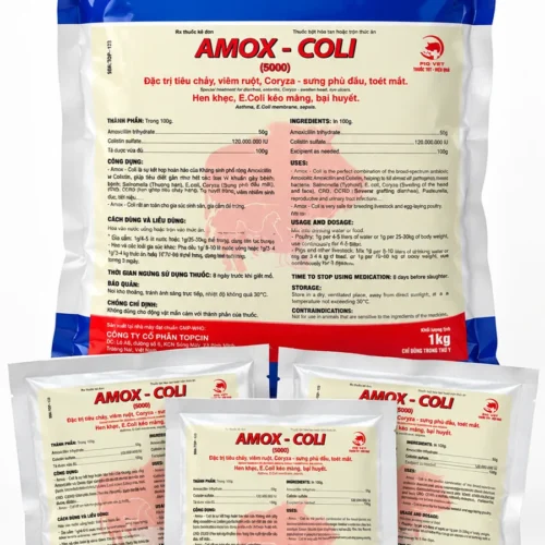 AMOX-COLI (5000)