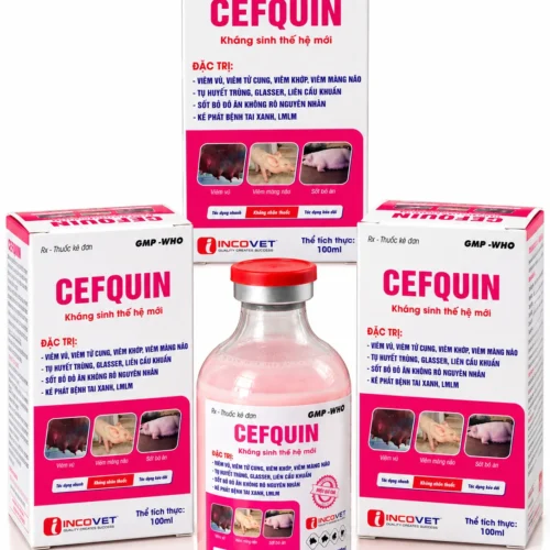 CEFQUIN – Kháng sinh thế hệ mới