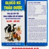 GLUCO KC THẢO DƯỢC – Hạ sốt, hồi sức