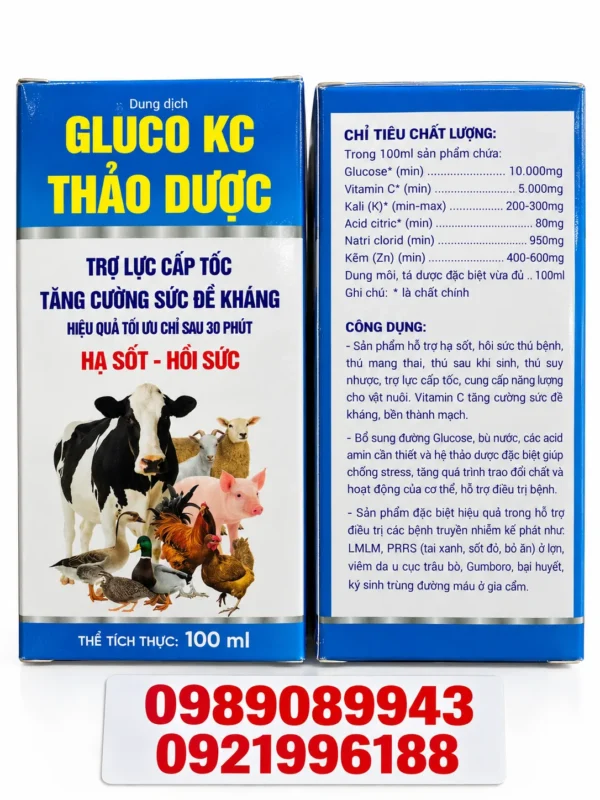 GLUCO KC THẢO DƯỢC – Hạ sốt, hồi sức