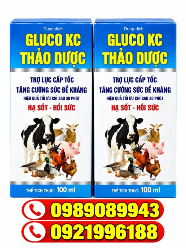 GLUCO KC THẢO DƯỢC – Hạ sốt, hồi sức – ảnh 2