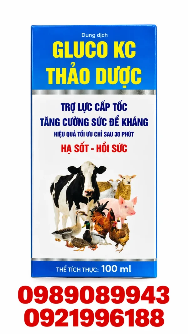 GLUCO KC THẢO DƯỢC – Hạ sốt, hồi sức – ảnh 4