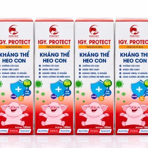 IGY.PROTECT – Kháng thể heo con