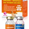 CẶP LINCOSPEC + BUTAFOLIC – Đặc trị bệnh chó mèo – ảnh 3