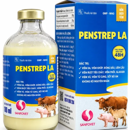 PENSTREP LA SANFOVET – Kháng sinh kéo dài 48h