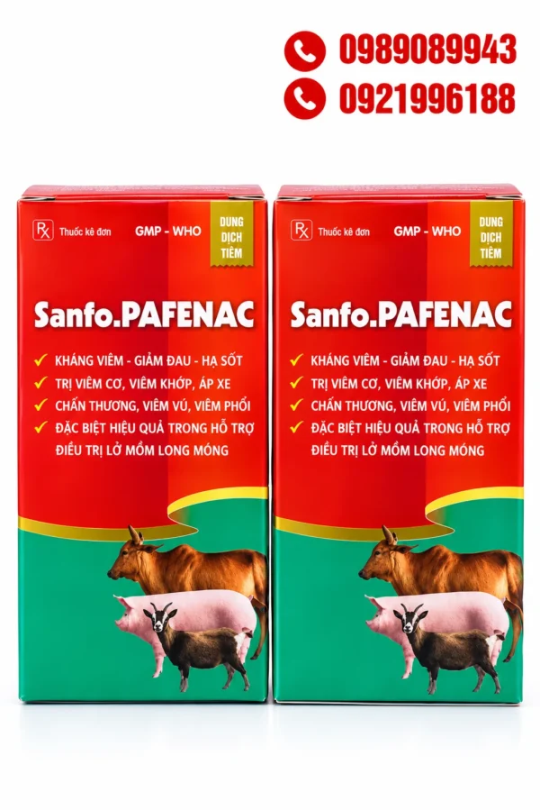 SANFO.PAFENAC – Diclofenac kháng viêm, giảm đau – ảnh 2