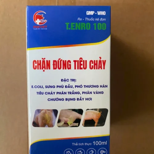 T.ENRO 100 – Chặn đứng tiêu chảy