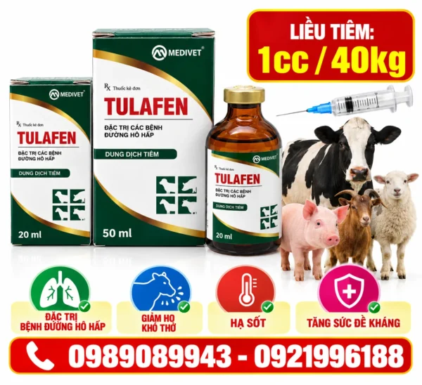 tulafen-medivet-chai-50ml-va-20ml-3 TULAFEN – Đặc trị viêm phổi heo, trâu bò – ảnh 3