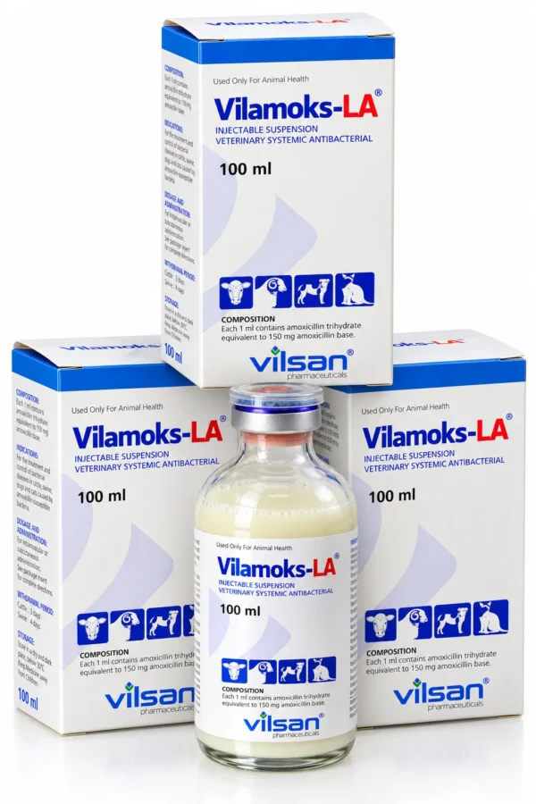 vilamoks-la-chai-100ml-250ml-nhap-khau-tho-nhi-ky-1 VILAMOKS-LA – Amoxicillin LA nhập khẩu