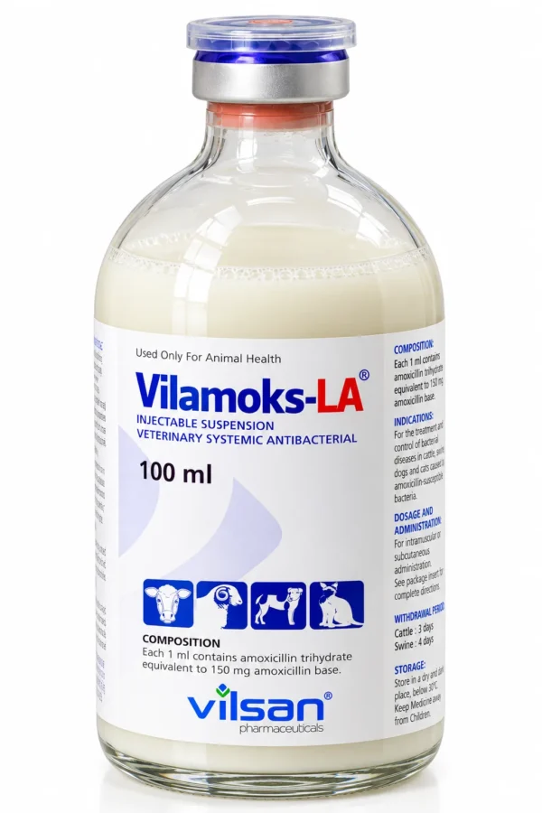 vilamoks-la-chai-100ml-250ml-nhap-khau-tho-nhi-ky-4 VILAMOKS-LA – Amoxicillin LA nhập khẩu – ảnh 4